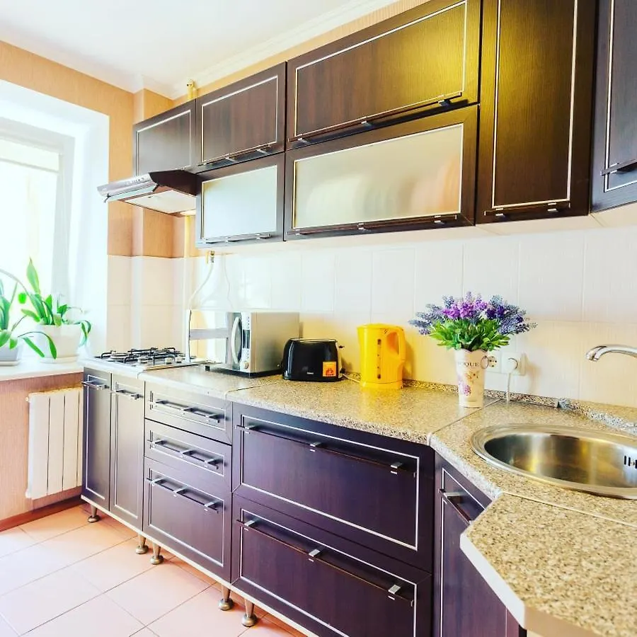 1 Room 50M2 Center Of Obolon Near River Side. Dream Town Kyjev Apartmán